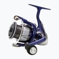 Navijak Daiwa 24 TDR Match & Feeder QD 5