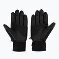 Pánske lyžiarske rukavice Descente Gordon 93 black DWBUGD11 2