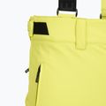 Pánske lyžiarske nohavice Descente Swiss actus green 3