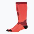 ASICS Performance Run Kompresné bežecké ponožky sunrise red 2
