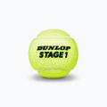 Detské tenisové loptičky Dunlop Stage 1 3 ks zelené 61338 3