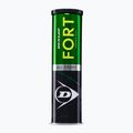 Tenisové loptičky Dunlop Fort All Court Ts 4B 2025