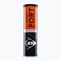 Tenisové loptičky Dunlop Fort Clay Court 4B 2025