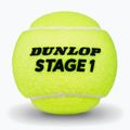 Tenisové lopty Dunlop Stage 1 3 pack green 3