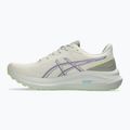 Pánske bežecké topánky ASICS GT-1000 13 TR nature bathing/lime green 2