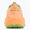 Pánske bežecké topánky ASICS Trabuco Max 4 cream/khaki 6