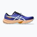 Pánske bežecké topánky ASICS Fuji Lite 6 cobalt burst/cool grey 8
