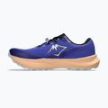 Pánske bežecké topánky ASICS Fuji Lite 6 cobalt burst/cool grey 9