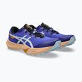 Pánske bežecké topánky ASICS Fuji Lite 6 cobalt burst/cool grey 10
