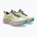 Dámske bežecké topánky ASICS Gel-Pulse 17 TR light dust/cacti 10