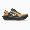 Pánske bežecké topánky ASICS Novablast 6 GTX sandstorm/black 2