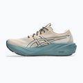 Pánske bežecké topánky ASICS Gt-2000 15 TR simply taupe/foggy teal 10