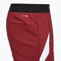 Pánske šortky VICTOR R-60200 biking red 4