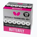 Loptičky na stolný tenis Butterfly 120 ks biele 2