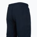 Pánske tréningové nohavice Mizuno Takeshi Track navy 4