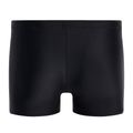 Pánske plavecké boxerky Speedo Tech Logo čierne 68-11354F130 2