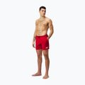 Pánske plavecké šortky Speedo Boom Logo 16" červené 68-124336446 2