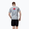 Berghaus pánske tričko Snowdon SS Tee 2.0 grey marl bci 3