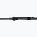 Kaprový prút Daiwa Black Widow čierny 11584-300 2