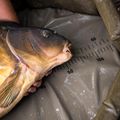 Zváraná podložka pod kapra Fox International Carpmaster 11