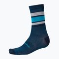 Cyklistické ponožky Endura BaaBaa Merino Stripe blueberry