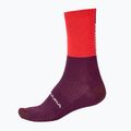 Cyklistické ponožky Endura Baa Baa Merino  Winter pomegranate