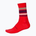 Cyklistické ponožky Endura BaaBaa Merino Stripe granátové jablko