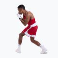Pánske tréninkové šortky Boxraw Stevenson V2 red/white 3