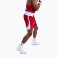 Pánske tréninkové šortky Boxraw Stevenson V2 red/white 6