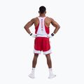 Pánske tričko Boxraw Stevenson V2 Tank red/white 3