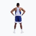 Pánske tréninkové šortky Boxraw Stevenson V2 blue/white 3