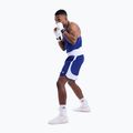 Pánske tréninkové šortky Boxraw Stevenson V2 blue/white 8