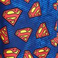 Detské modré plavecké šortky Zoggs Superman 2