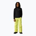 Detská fleecová mikina Dare 2b Freehand Fleece black 3