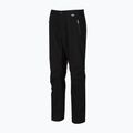 Pánske trekingové nohavice REGATTA Highton Stretch black 5
