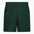 Pánske plavecké šortky Nike Essential 5" Volley green NESSA560-303