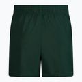 Pánske plavecké šortky Nike Essential 5" Volley green NESSA560-303 2