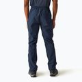 Pánske trekingové nohavice REGATTA Highton Stretch navy 3