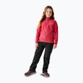 Detské trekingové nohavice REGATTA Highton Winter black 5