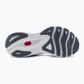 Dámska bežecká obuv Mizuno Wave Skyrise 4 wisteria/white/chinablue 6