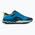 Pánska bežecká obuv Mizuno Wave Ibuki 4 cloisonné/bopal/mstruck 2