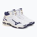 Pánska volejbalová obuv Mizuno Wave Voltage Mid white / blue ribbon / mp gold 5