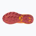 Dámska bežecká obuv Mizuno Wave Daichi 8 GTX nasturtium/citrus/cranberry 6
