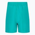 Detské plavecké šortky Nike Essential 4" Volley green NESSB866-339 2