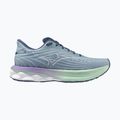 Dámske bežecké topánky Mizuno Wave Skyrise 6 citadel/white/bay 8
