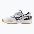 Volejbalové topánky Mizuno Cyclone Speed ​​5 white/black/chamois 8