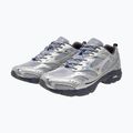 Pánske topánky Mizuno MXR silver/silver/nimbus cloud 13