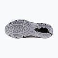 Pánske topánky Mizuno Mxr silver/silver/nimbus cloud 14
