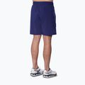 Pánske šortky Mizuno 8 Inches Flex Short beacon blue 2