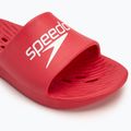 Pánske šľapky Speedo Slide fed red 7